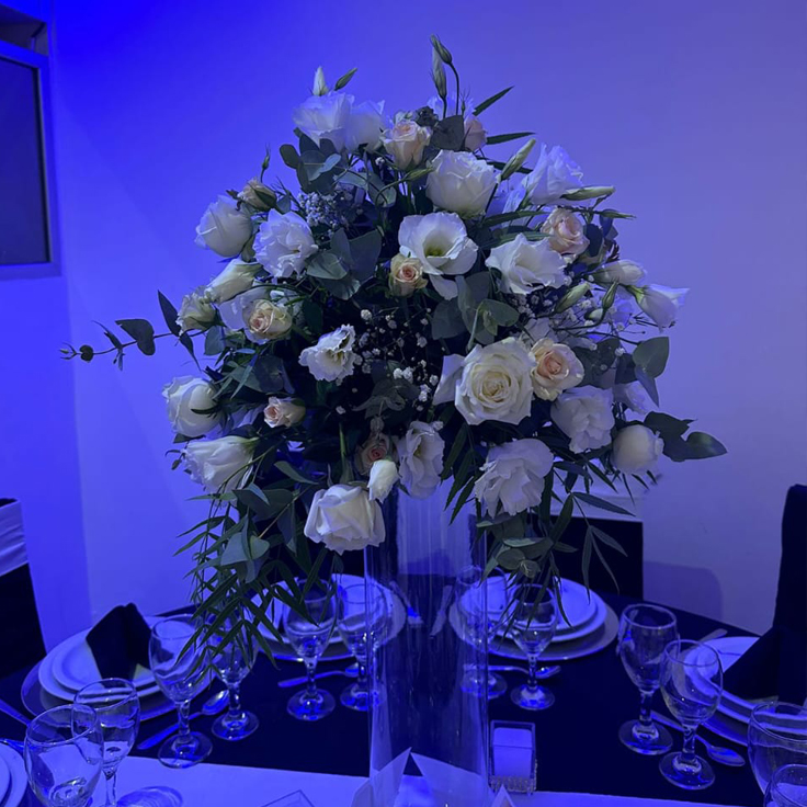 trabajos realizados 5